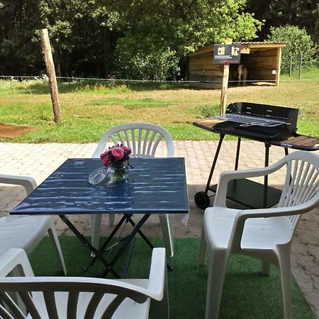 Gite Des Hortensias Raon-aux-Bois Exteriér fotografie