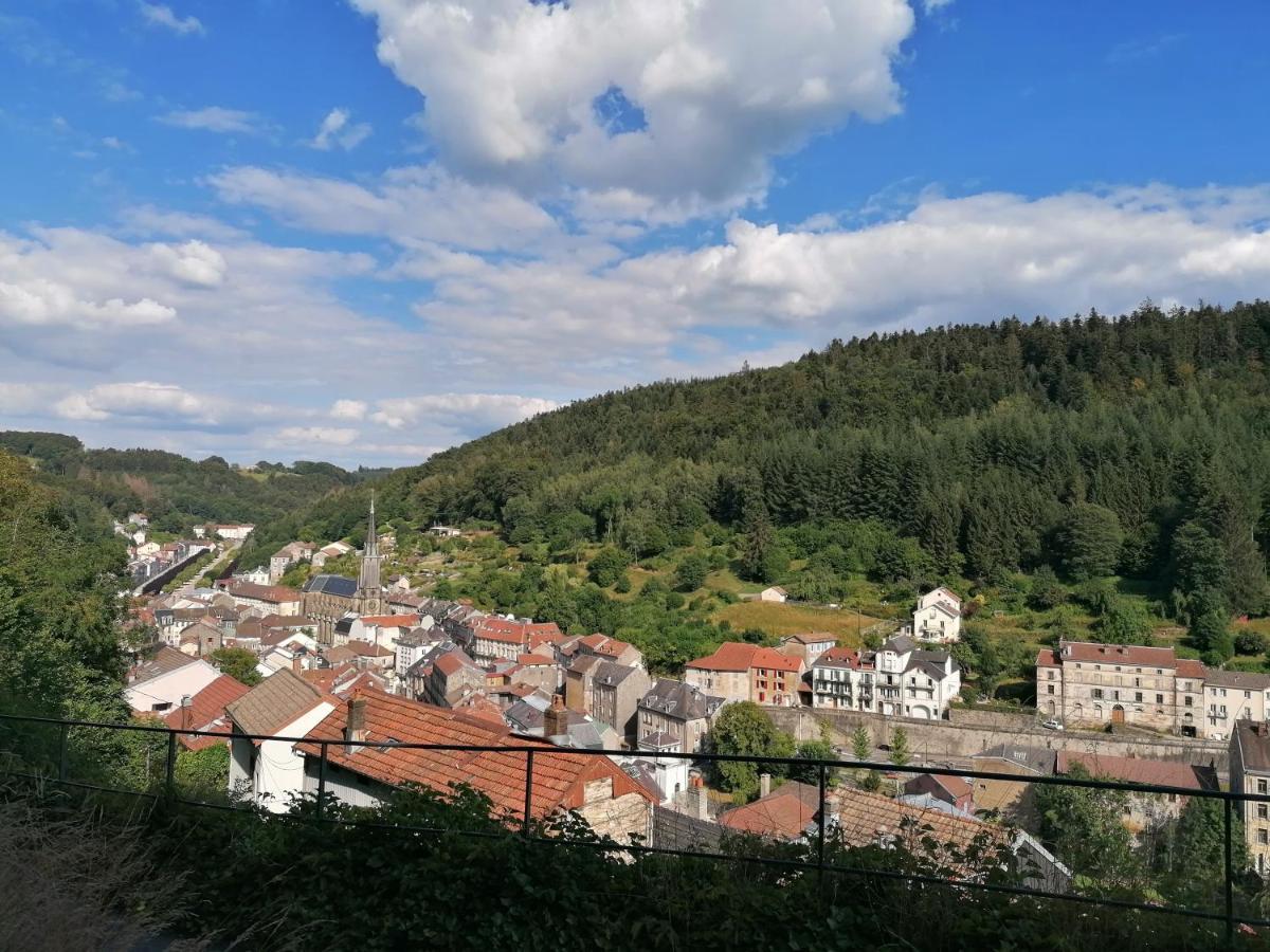 Gite Des Hortensias Raon-aux-Bois Exteriér fotografie