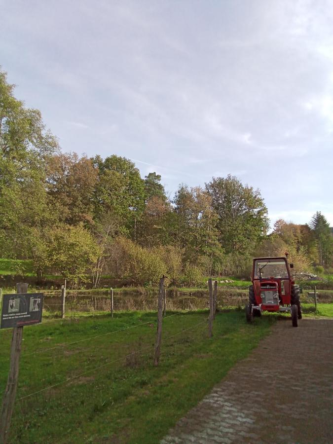 Gite Des Hortensias Raon-aux-Bois Exteriér fotografie