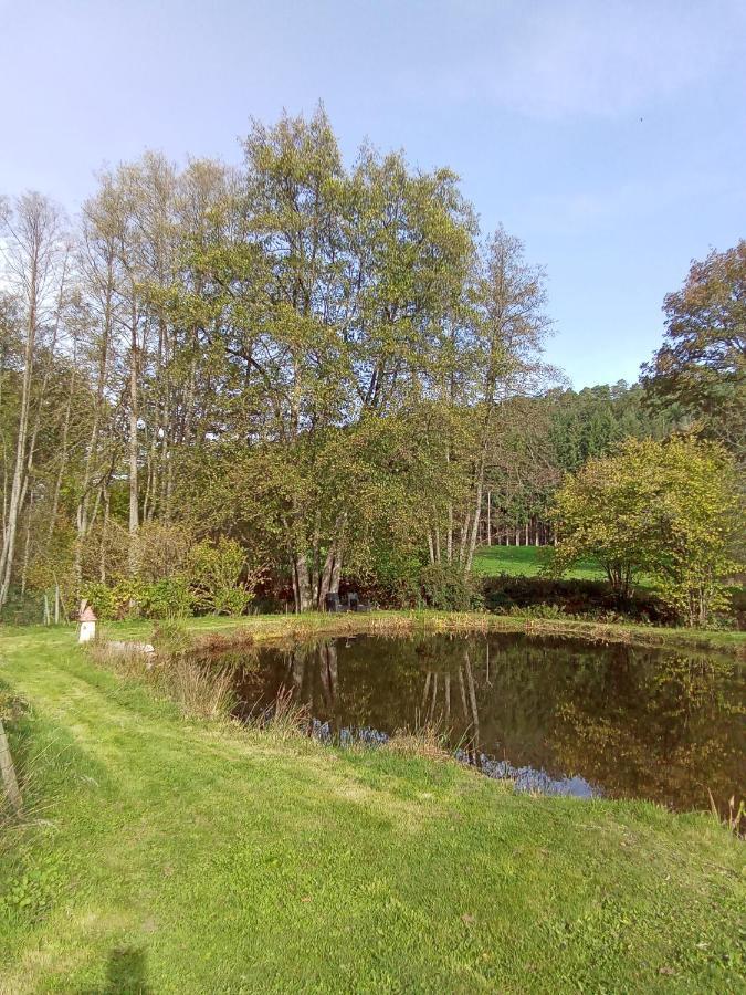Gite Des Hortensias Raon-aux-Bois Exteriér fotografie