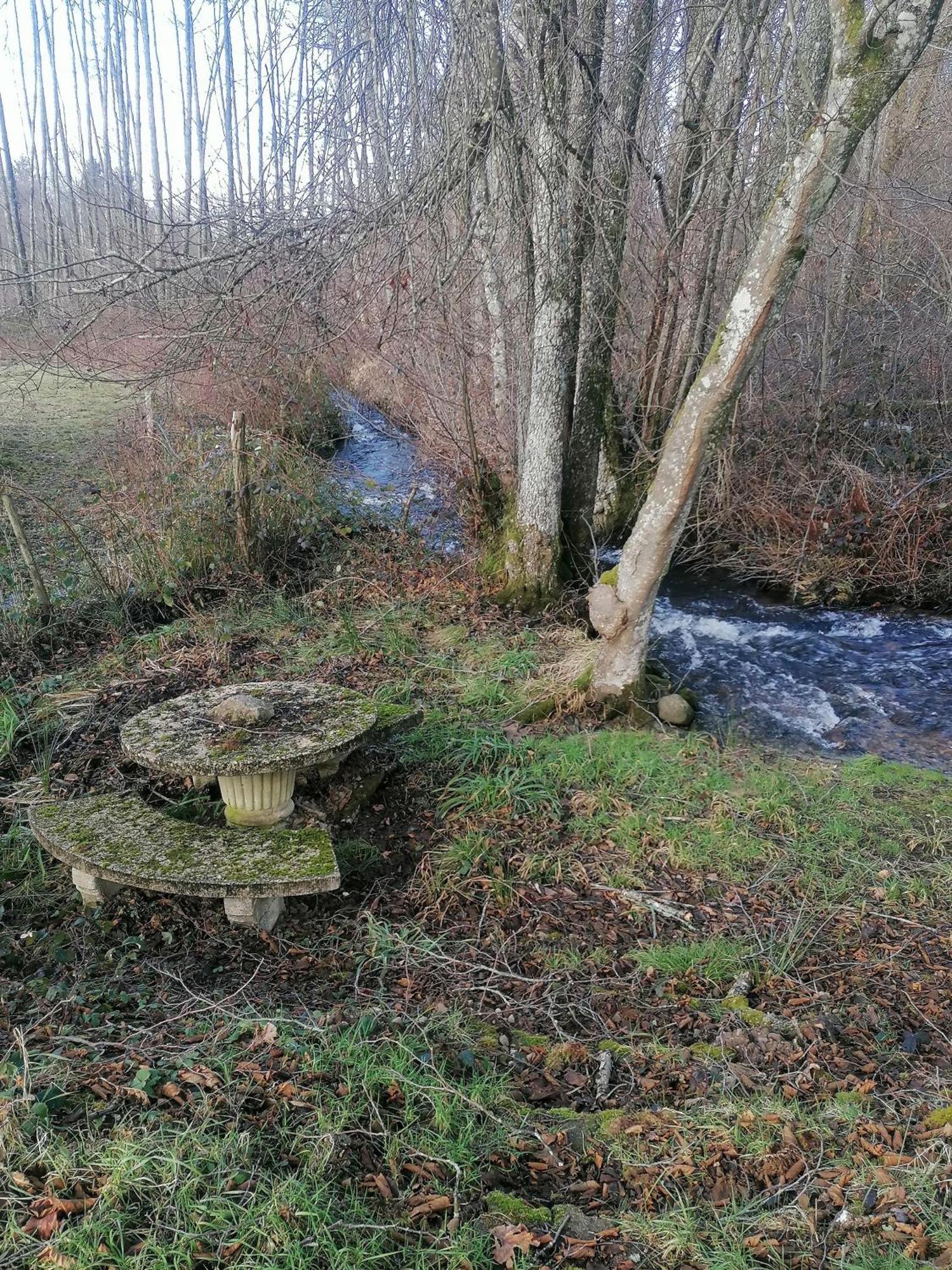 Gite Des Hortensias Raon-aux-Bois Exteriér fotografie