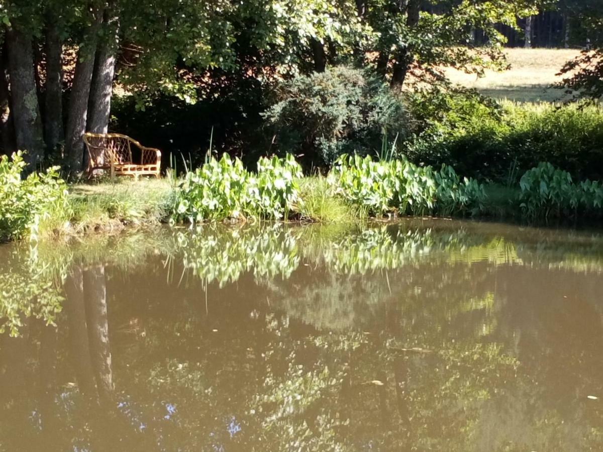 Gite Des Hortensias Raon-aux-Bois Exteriér fotografie
