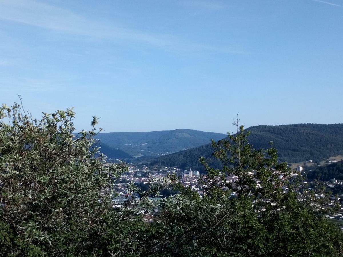 Gite Des Hortensias Raon-aux-Bois Exteriér fotografie