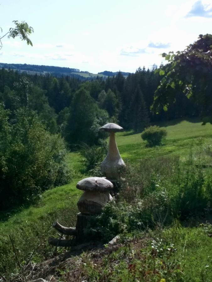 Gite Des Hortensias Raon-aux-Bois Exteriér fotografie